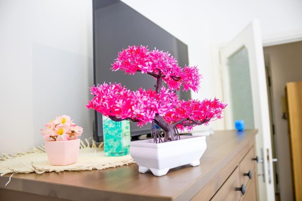 Apartamento Cleverflat, Center And Fiumicino Link
