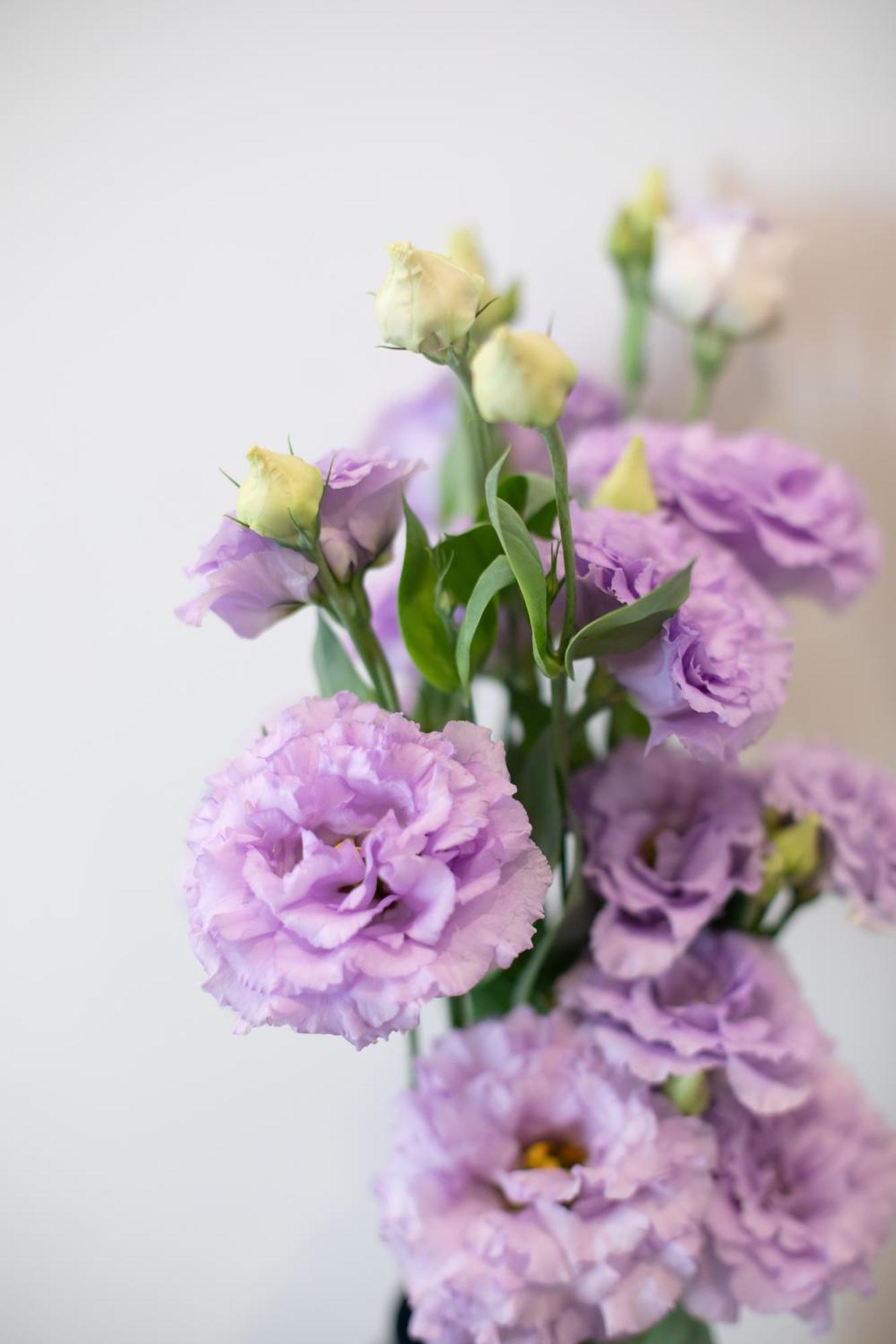 Gjestgiverier Belli Boutique *