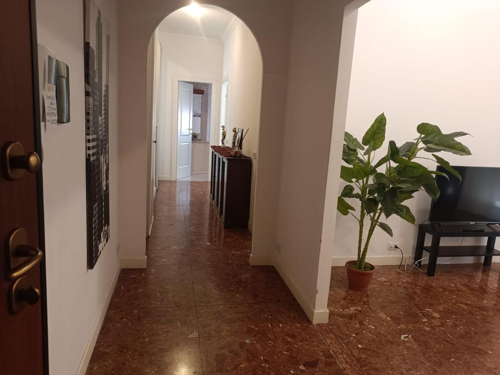 Beauty In The Green, Direct Link With Center Roma