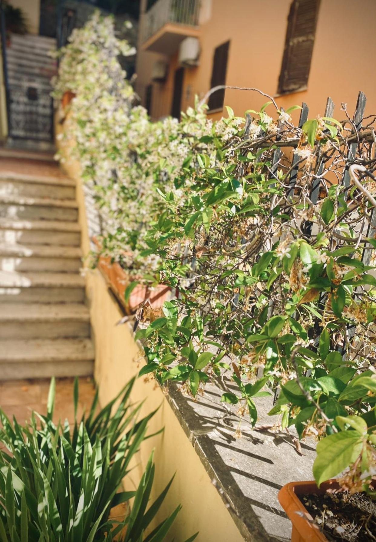Appartamento The Corner San Pietro *
