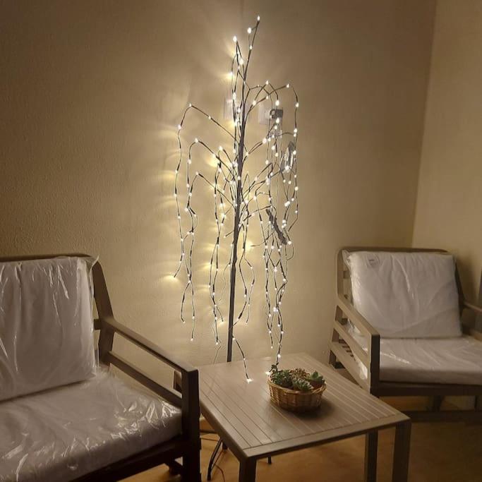 Appartamento Monolocale Nuova Costruzione Con Giardino