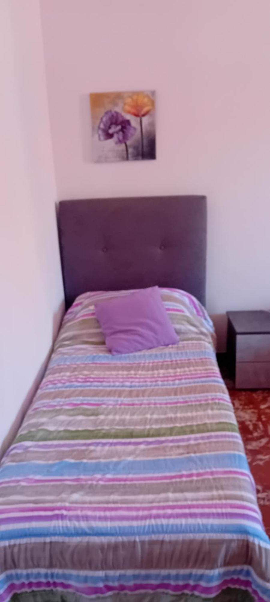 Cosy - 5 Minutes Walk From Colosseum Roma