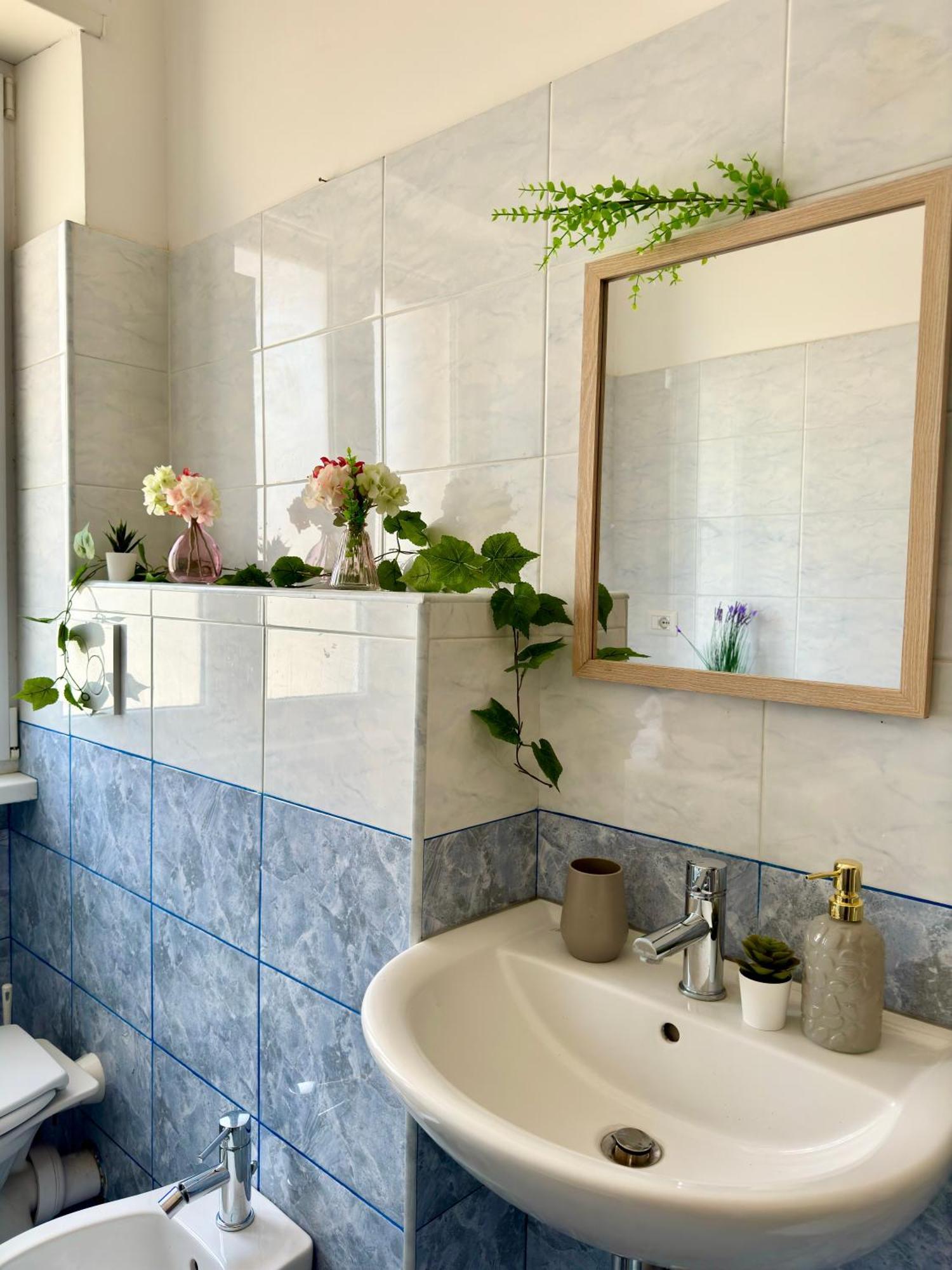 Apartamento Dreams In St Peter S - Near Vaticano *