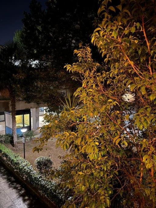 La Terrazza Romana Centro Di Appartamento Roma