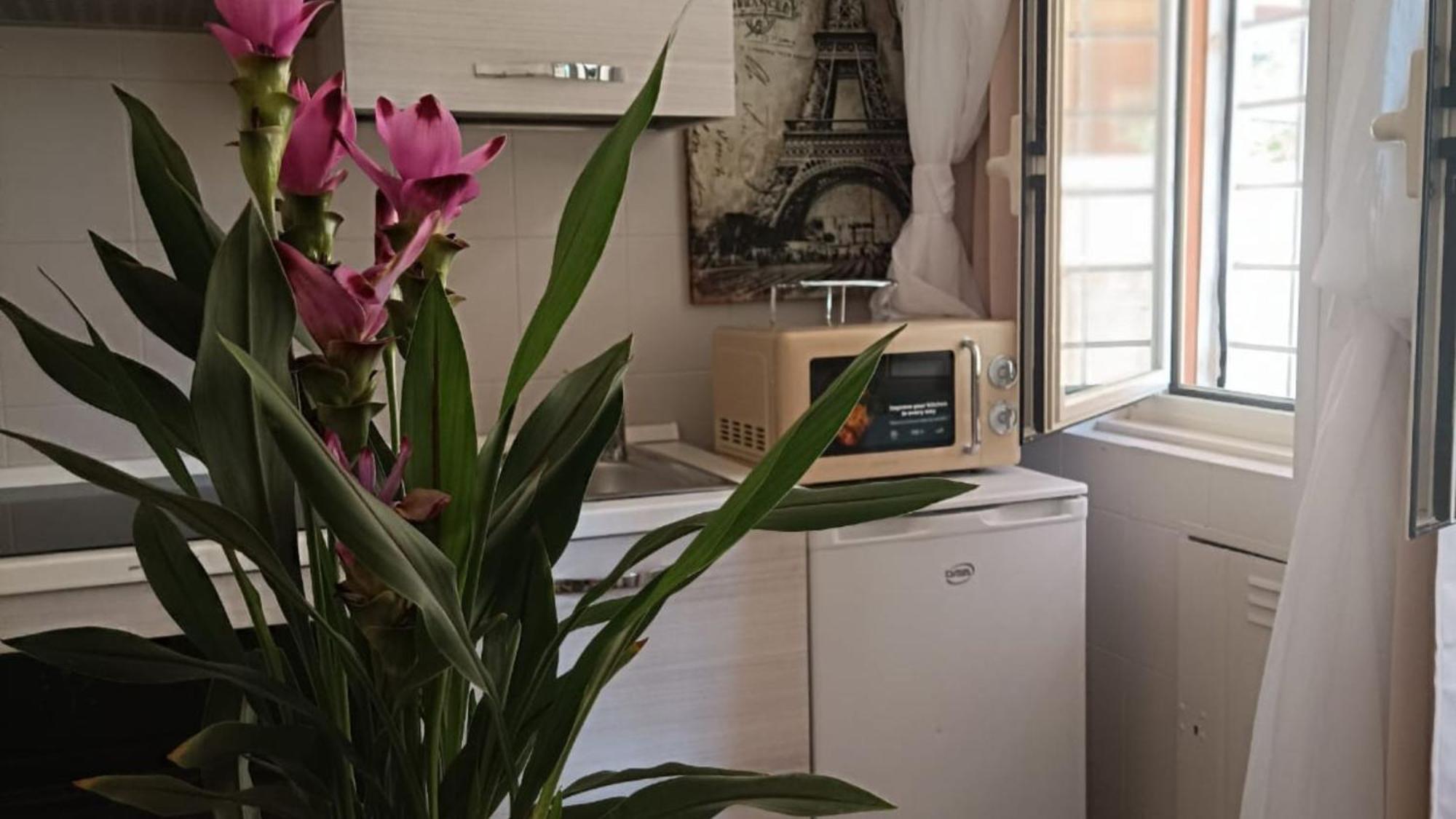 Castle&dome Apartamento Roma