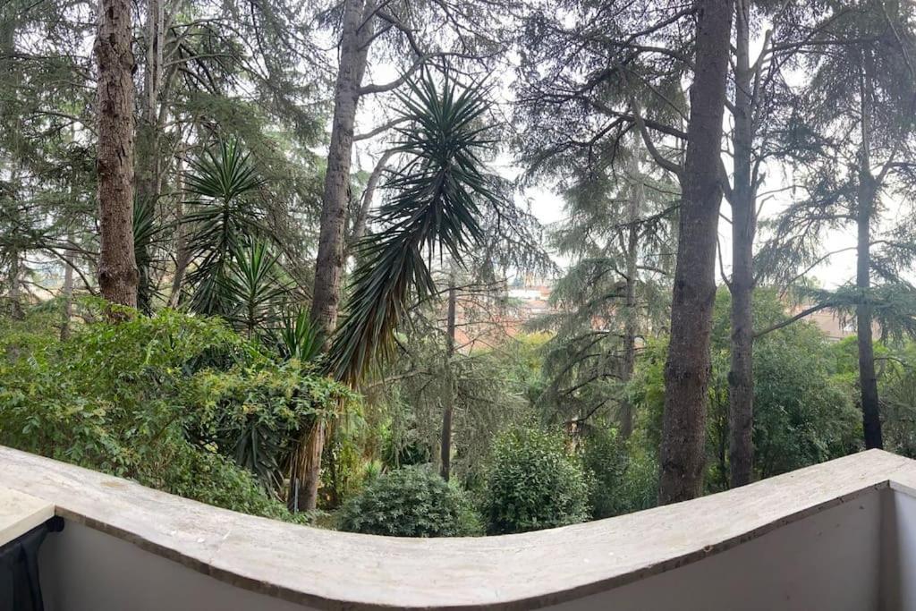 Apartamento Eur Trepini Luxury Loft *