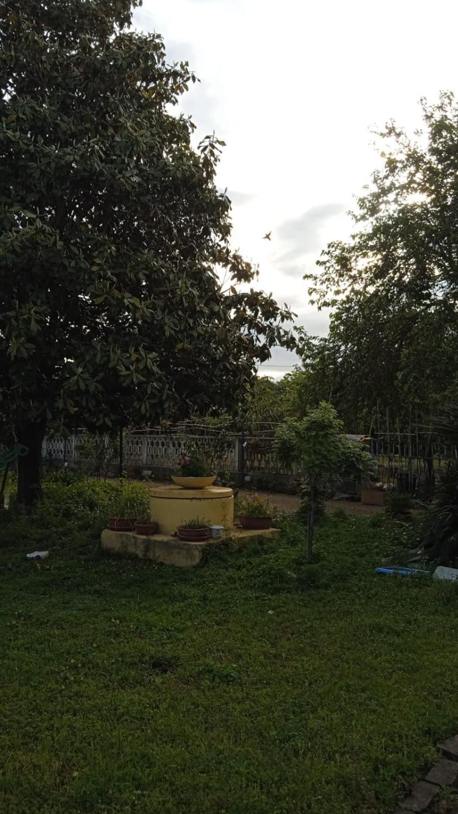 Casina Maria Apartment Rome
