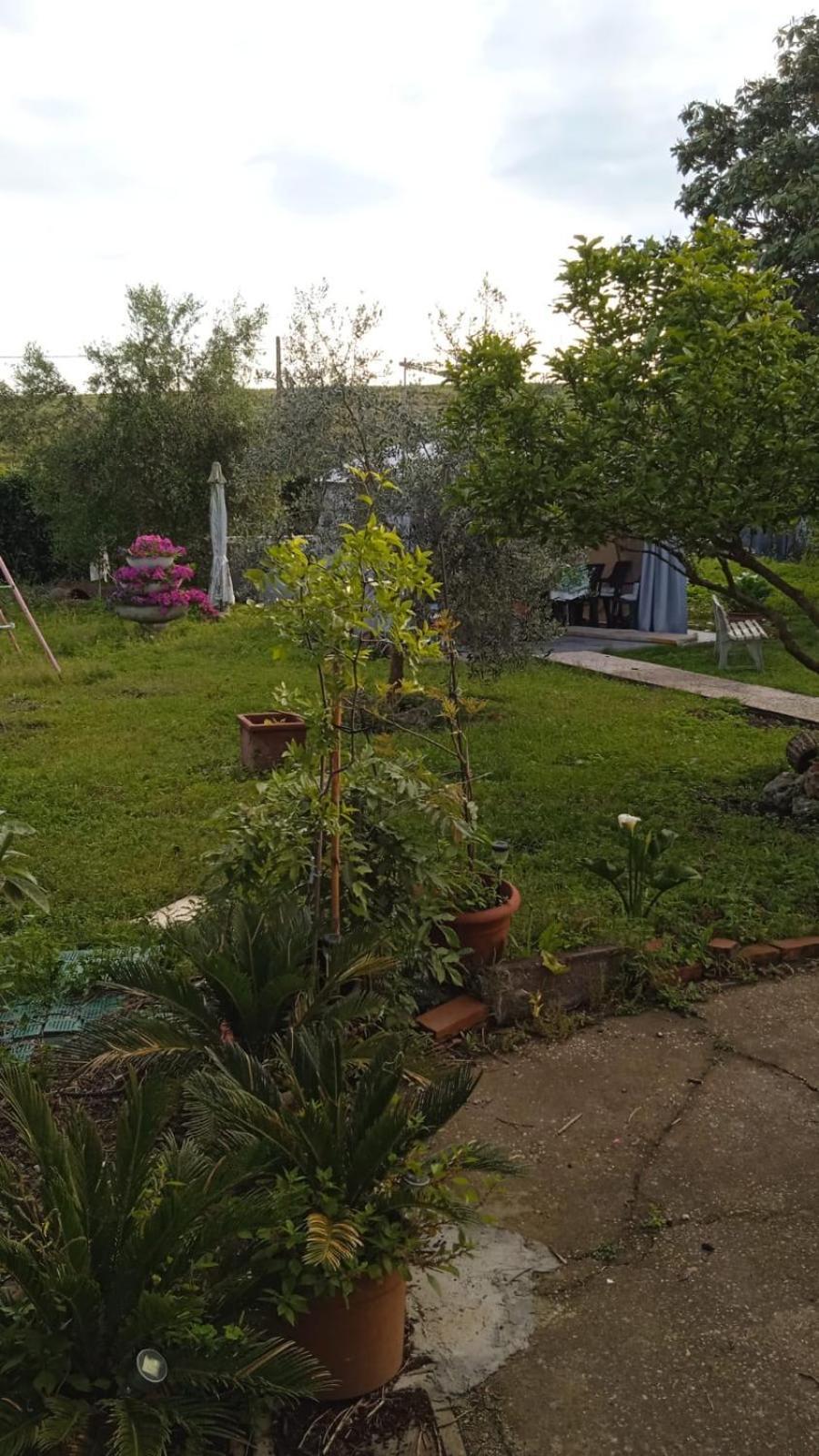 Casina Maria Rome