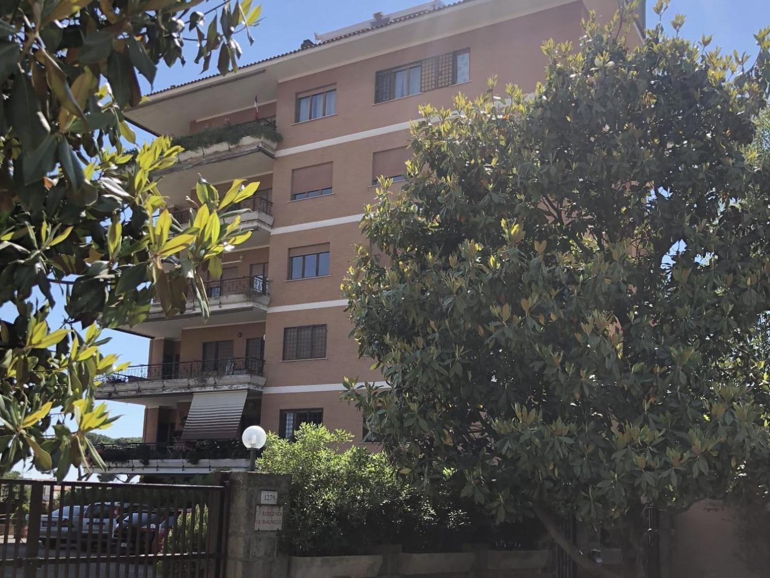 Appartamento Panda House Roma
