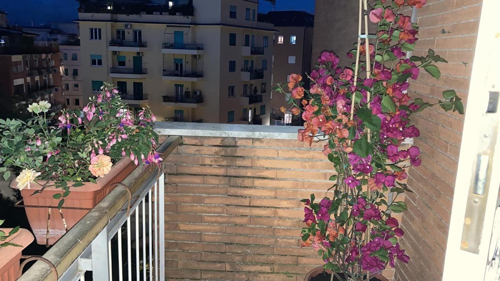 Le Mille E Notte Casa de hóspedes *