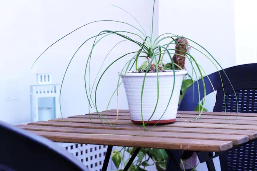 Cozy Vatican With Starry Balcony Garden Apartment