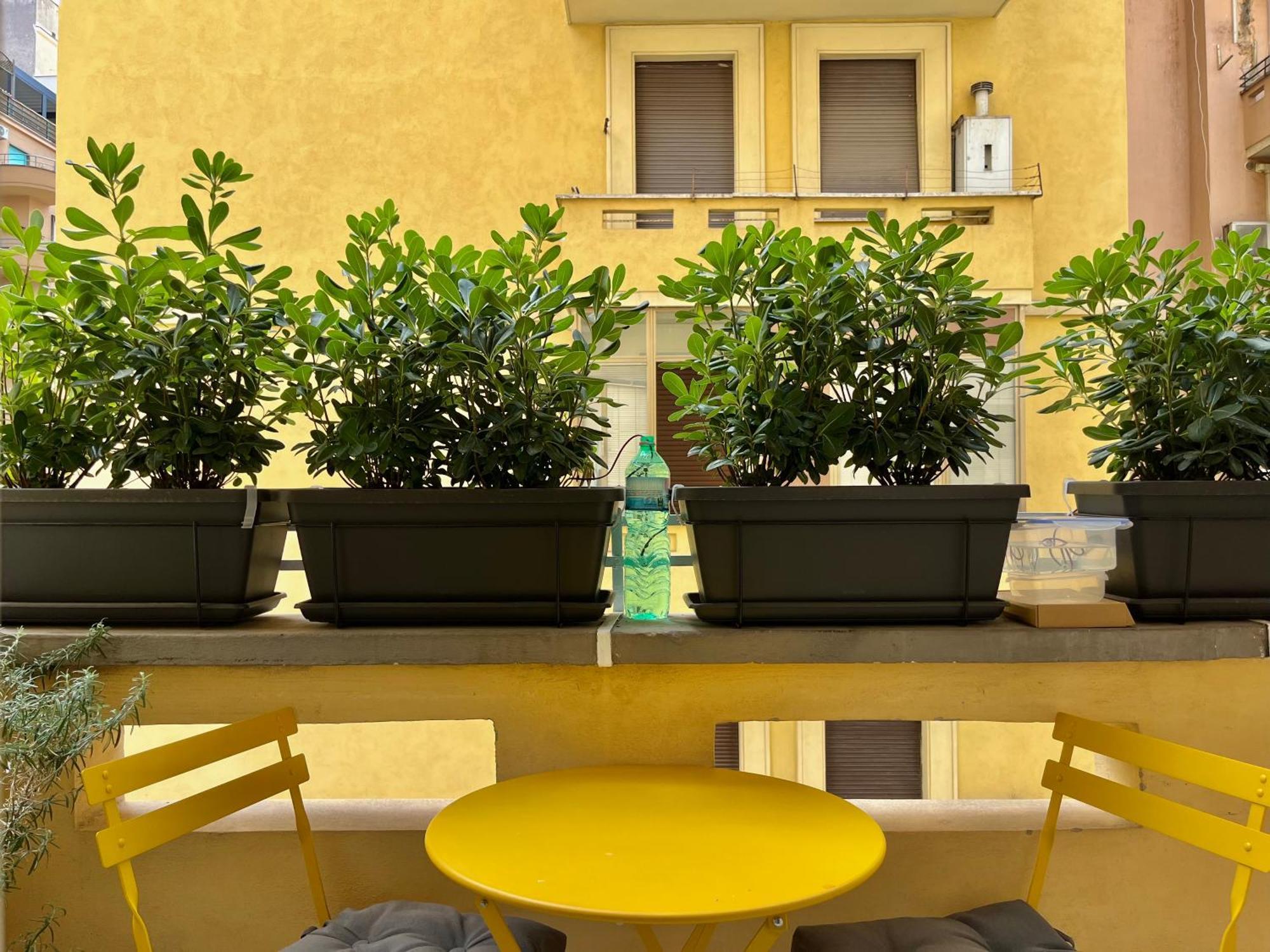 Apartment - Belle Maison