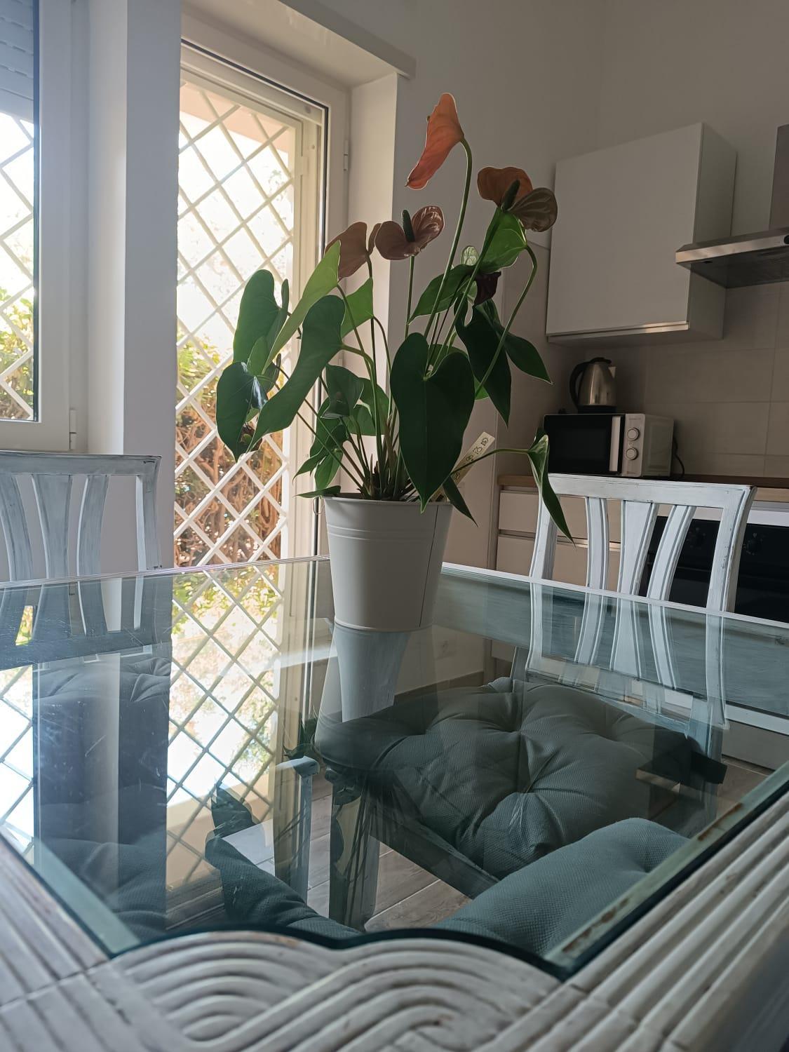 Aurelia Deluxe Сasa de vacaciones