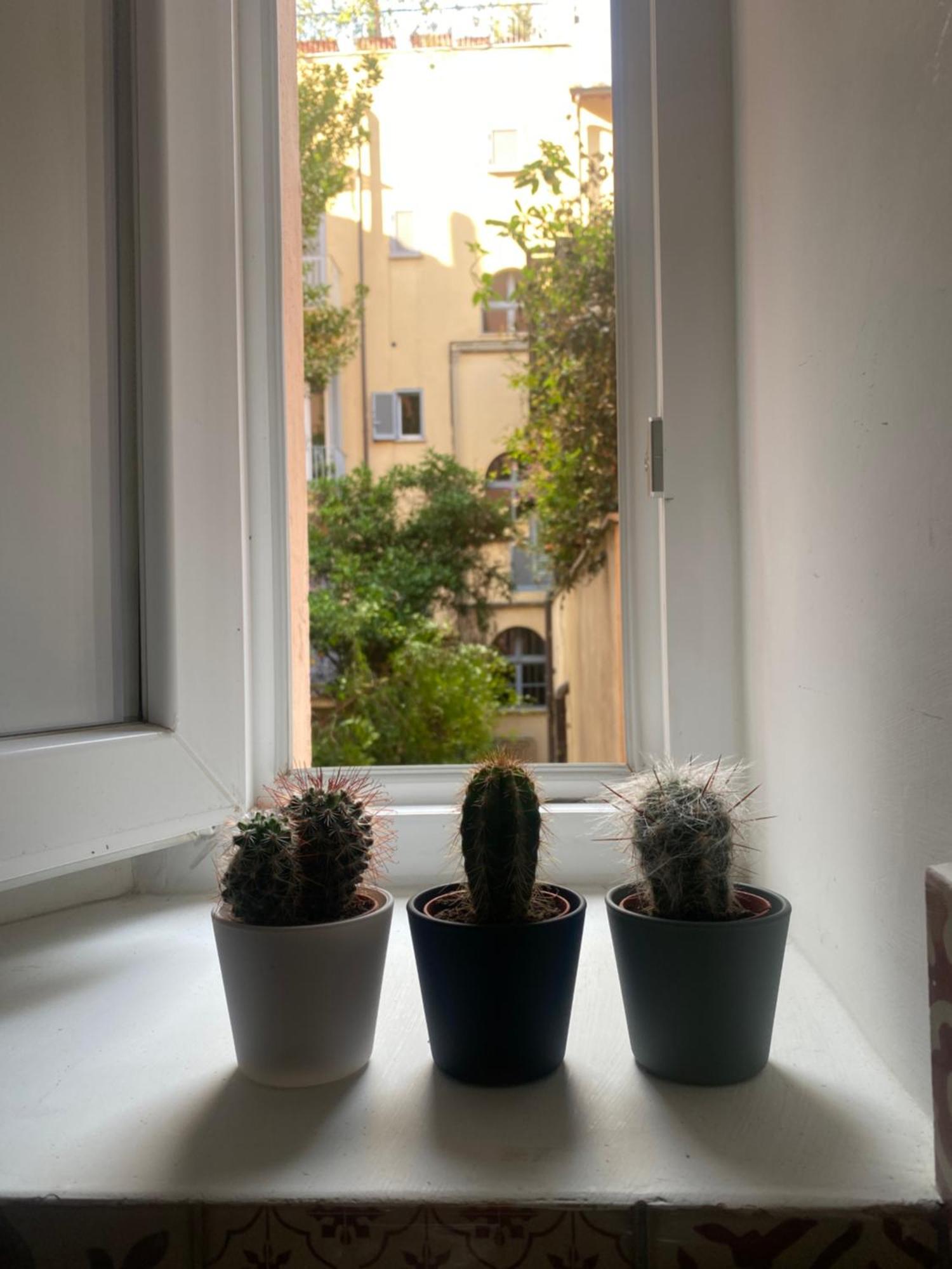 Colosseo Mon Apartamento *