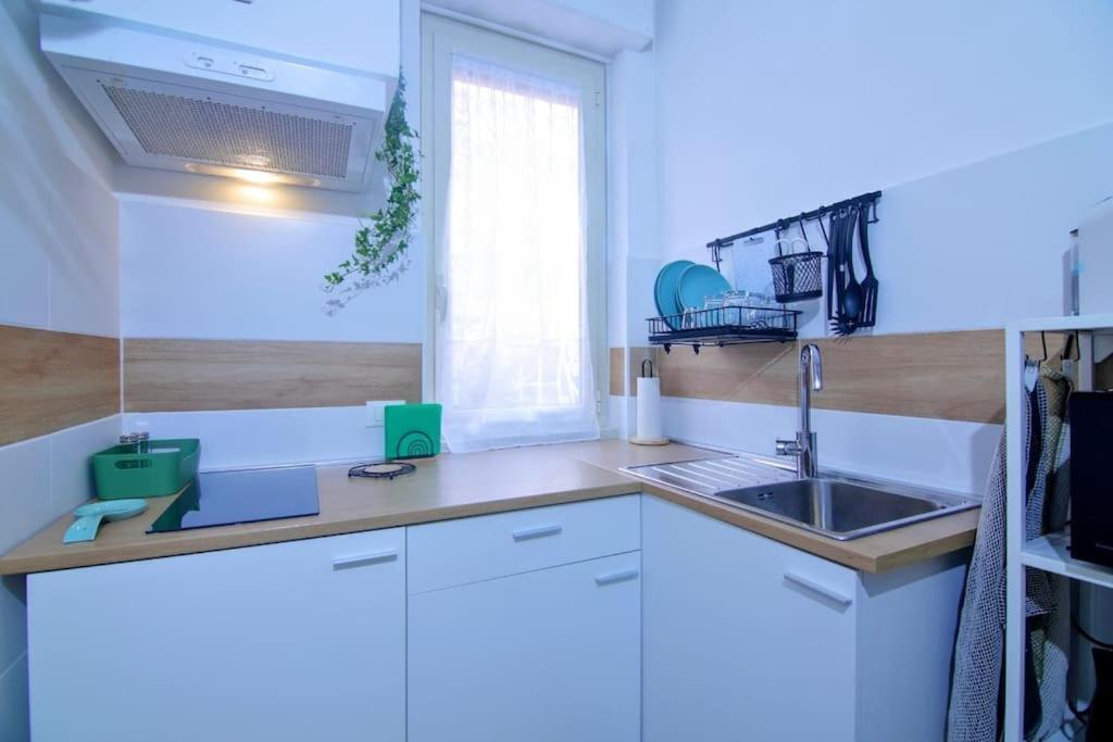 Apartment Domus