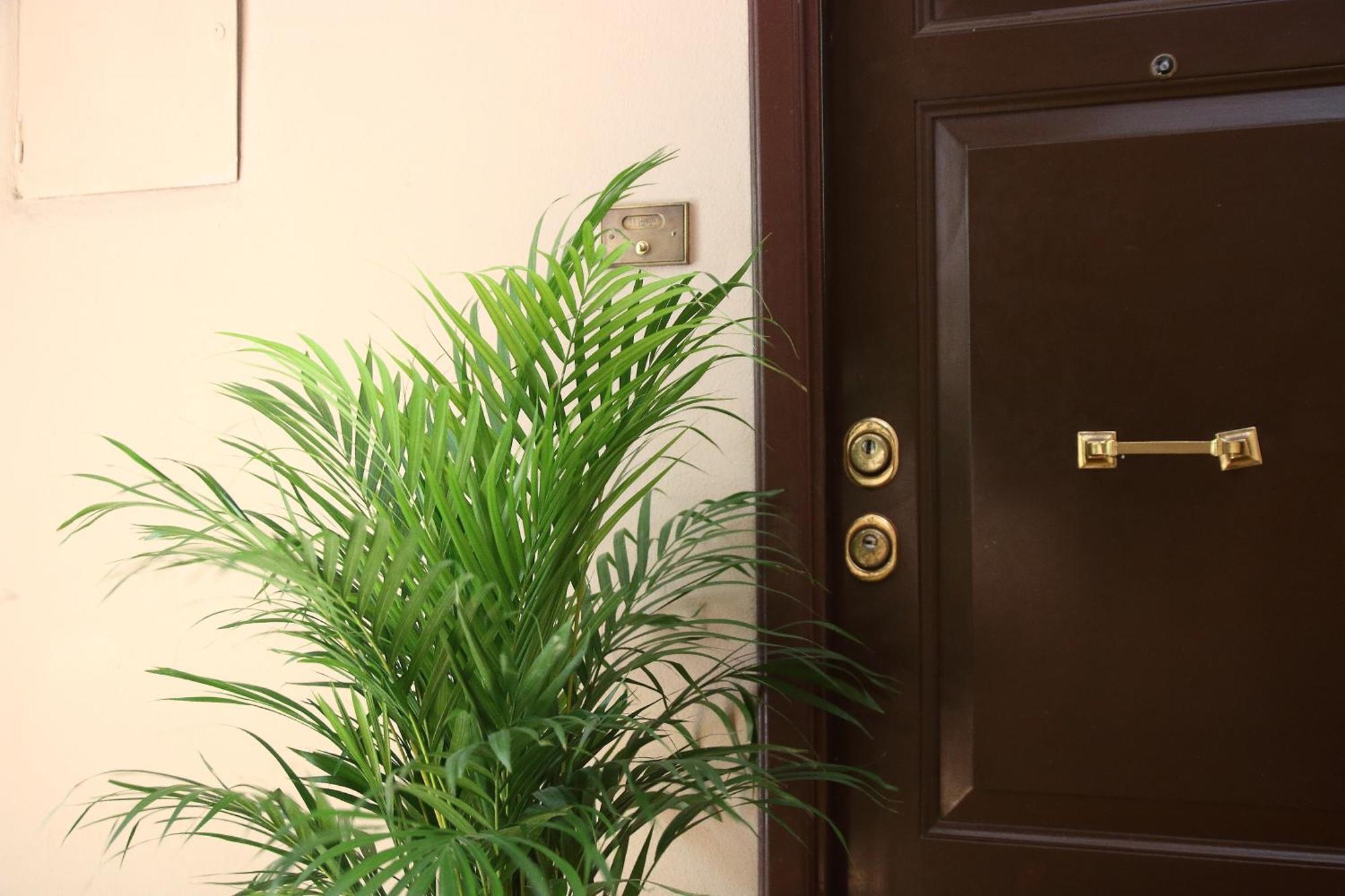 Apartamento Deco Garden Trastevere Roma