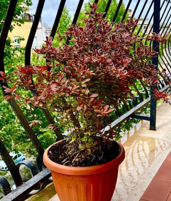 Apartamento I Tre Moschettieri Roma