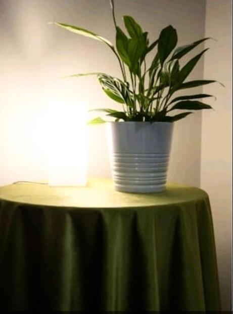 Emi House San Giovanni , Intero - 80 Mq Apartment Rome