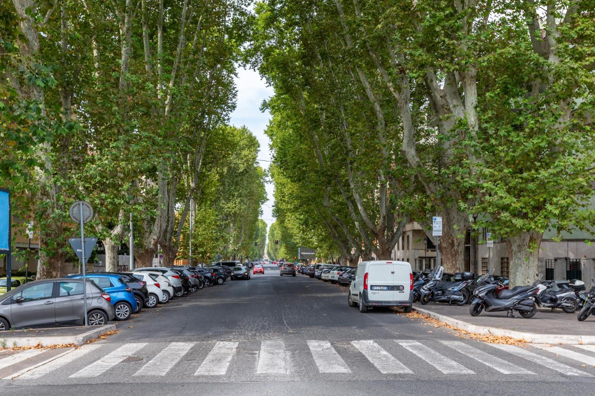 Apartamento Caesar Boutique *