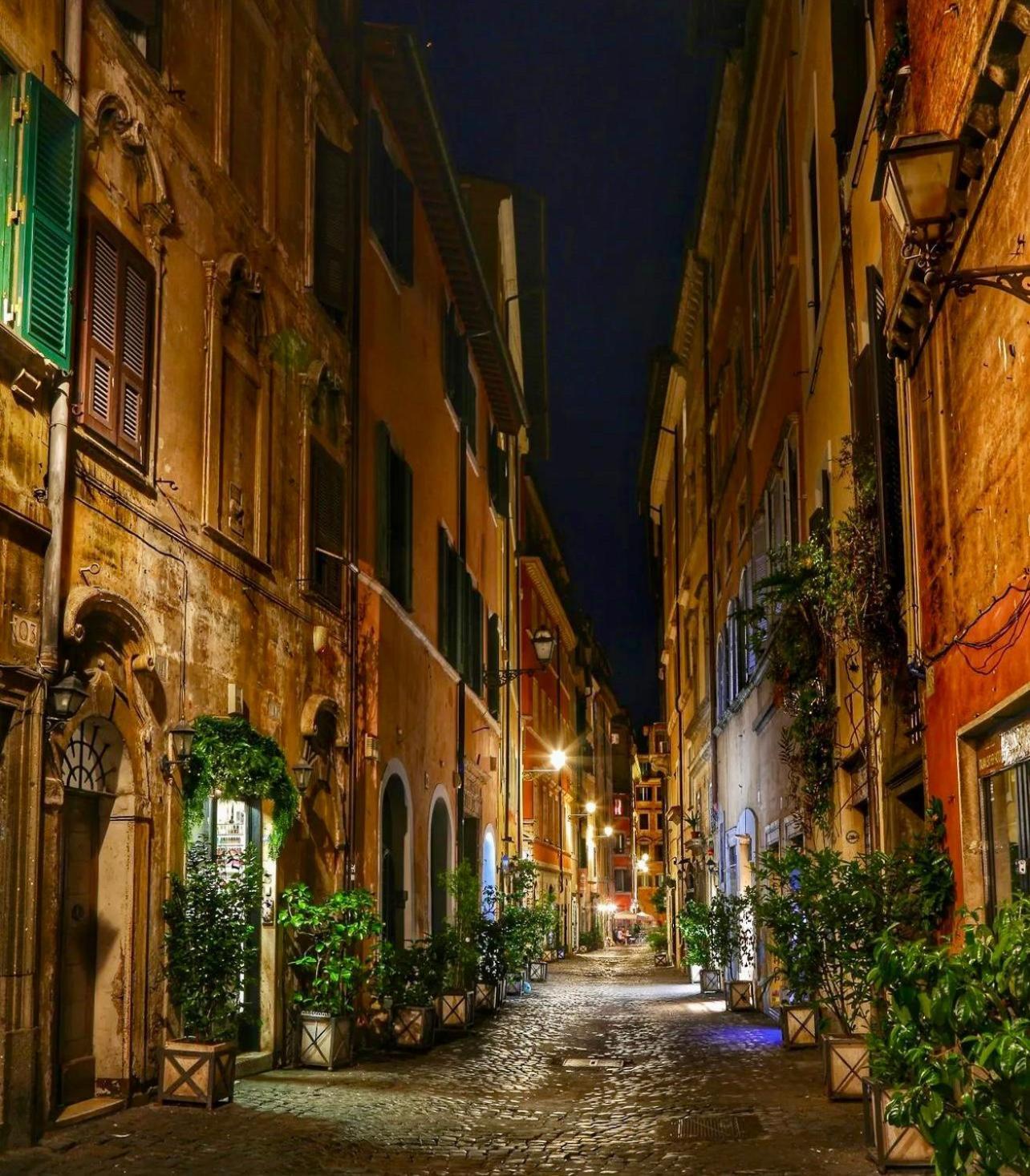 Spacious In Via Dei Coronari Apartamento *