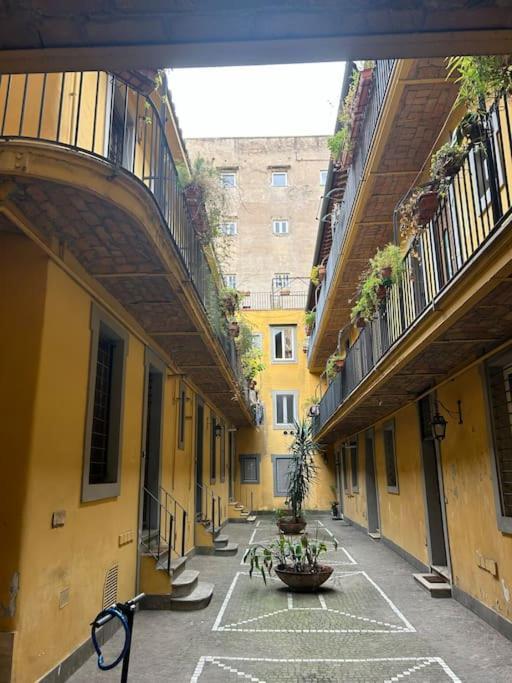 Domus Campo De Fiori *