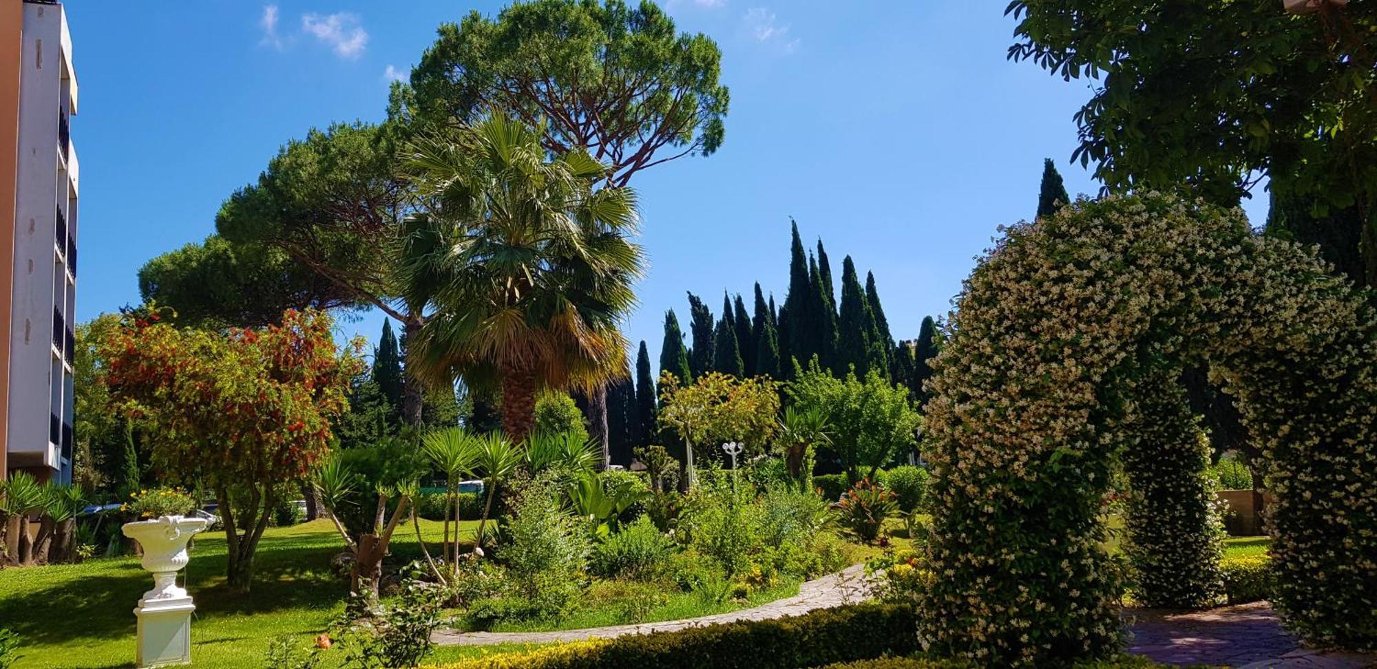 Oasis * Roma
