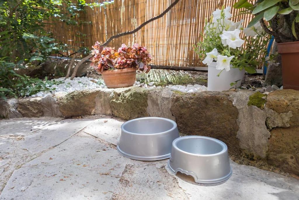Apartamento Poerio Home&garden Near The Centre Of *