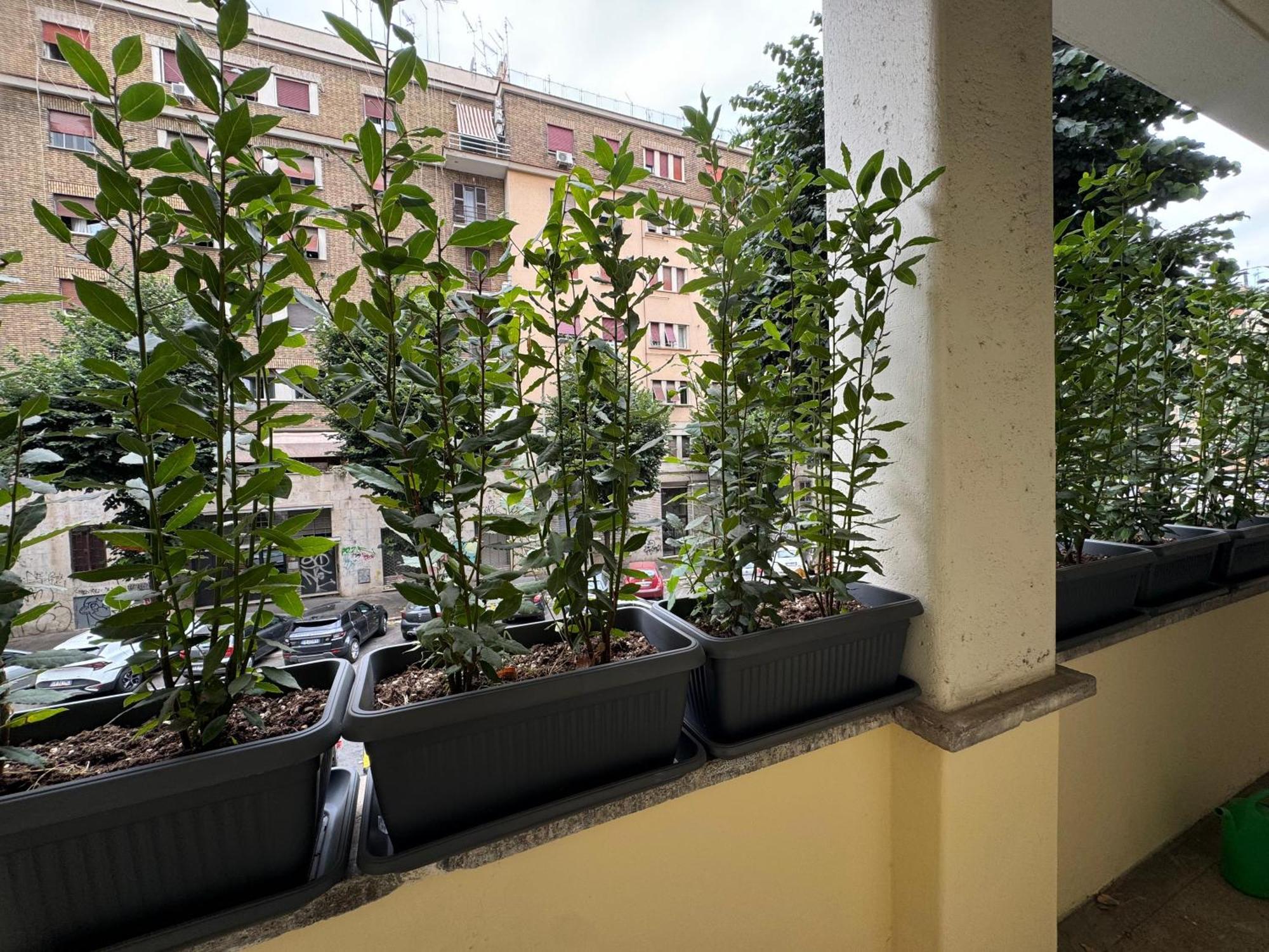 Appartamento Star Light Family
