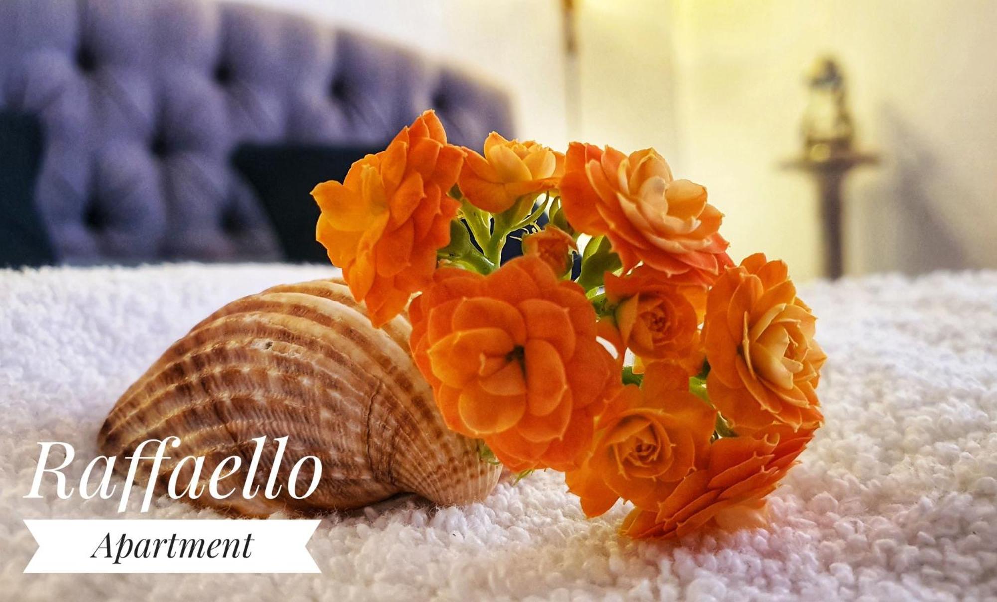 Apartamento Raffaello *
