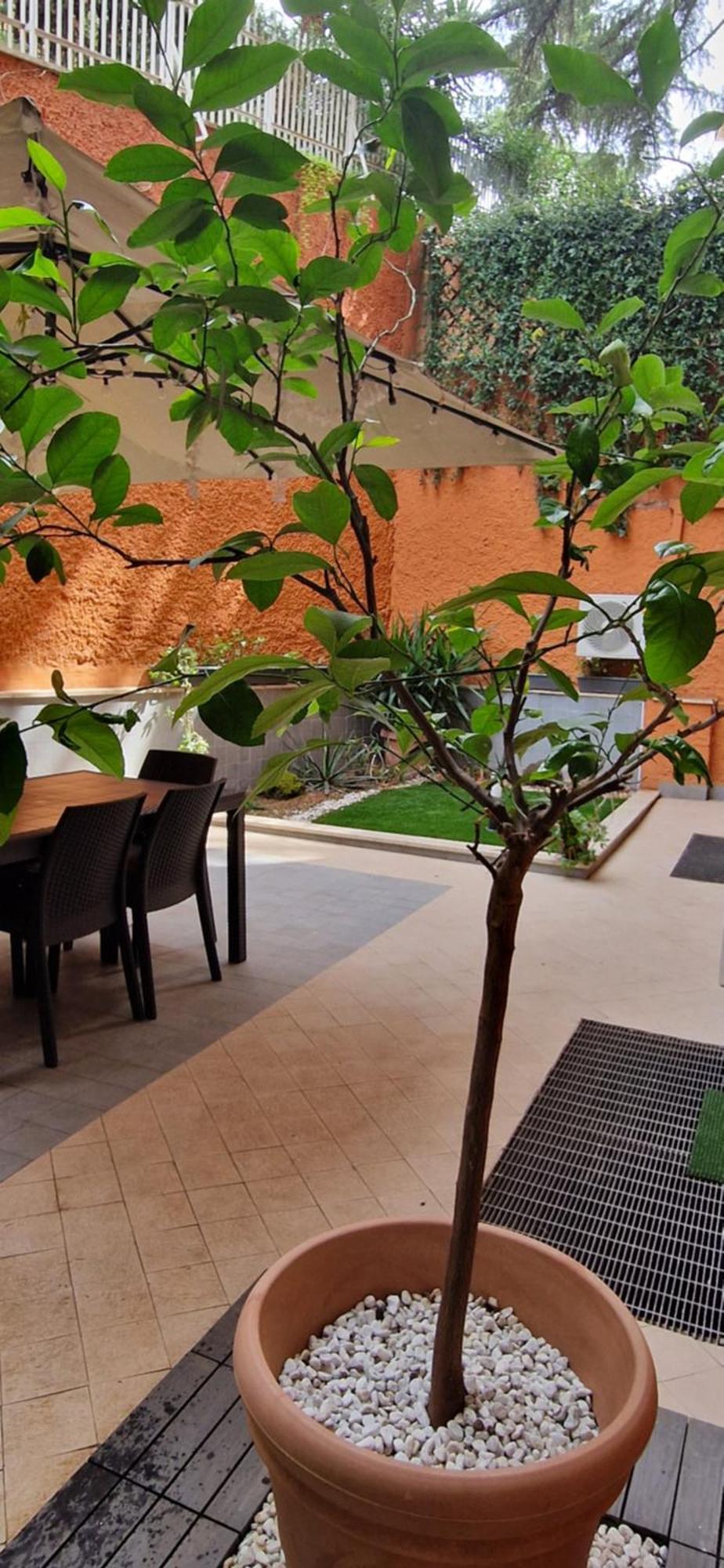 Oasi Del Vaticano Apartamento Roma