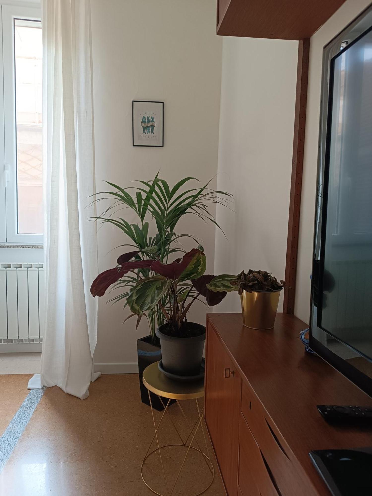 Apartment Design House Monti Rome