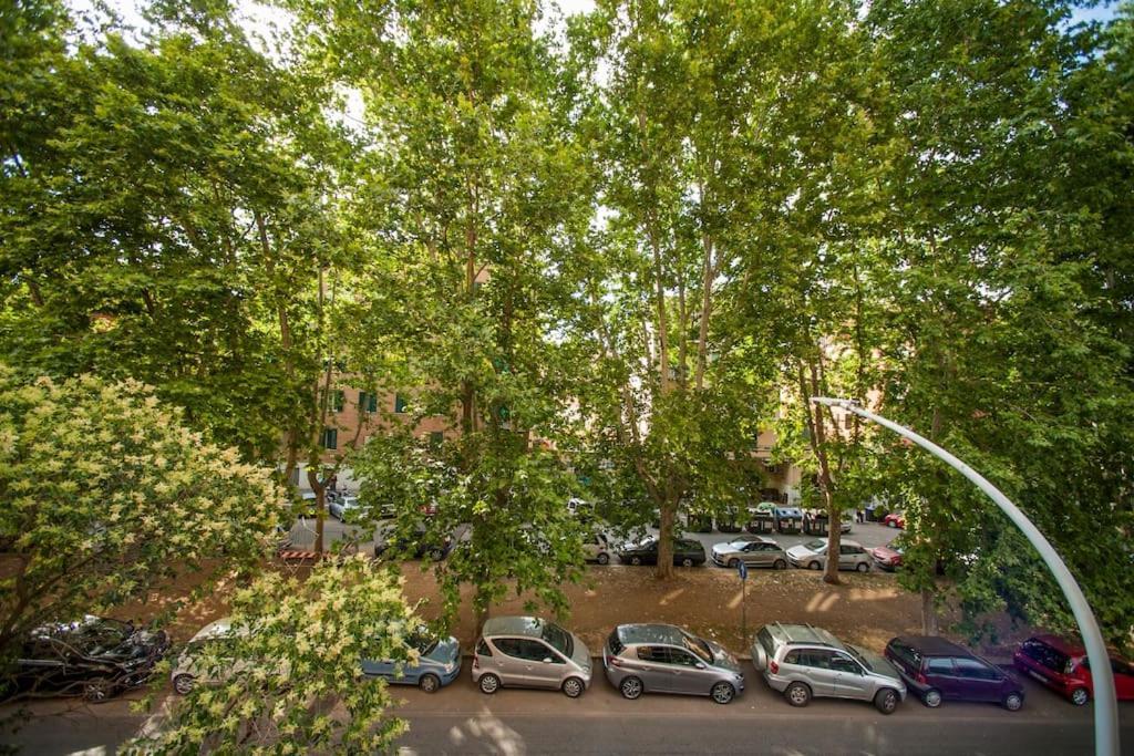 Great In Great Location Roma