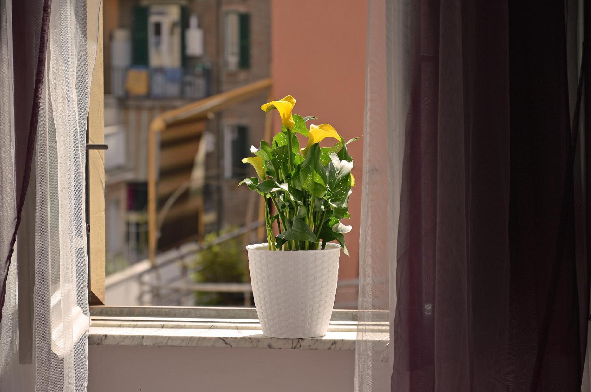 Casa Via Cesena Roma