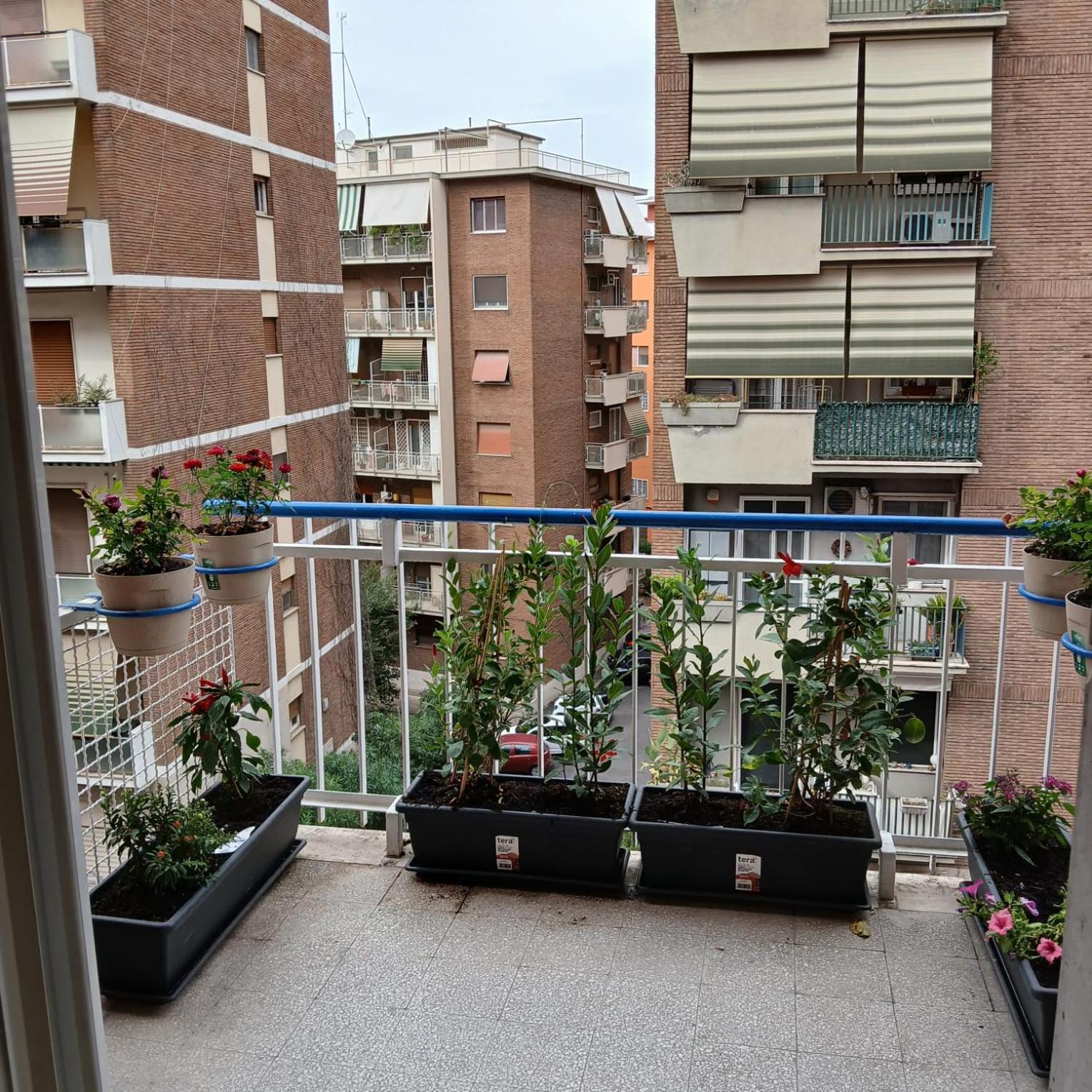 Appartamento Grand Nomentana Roma