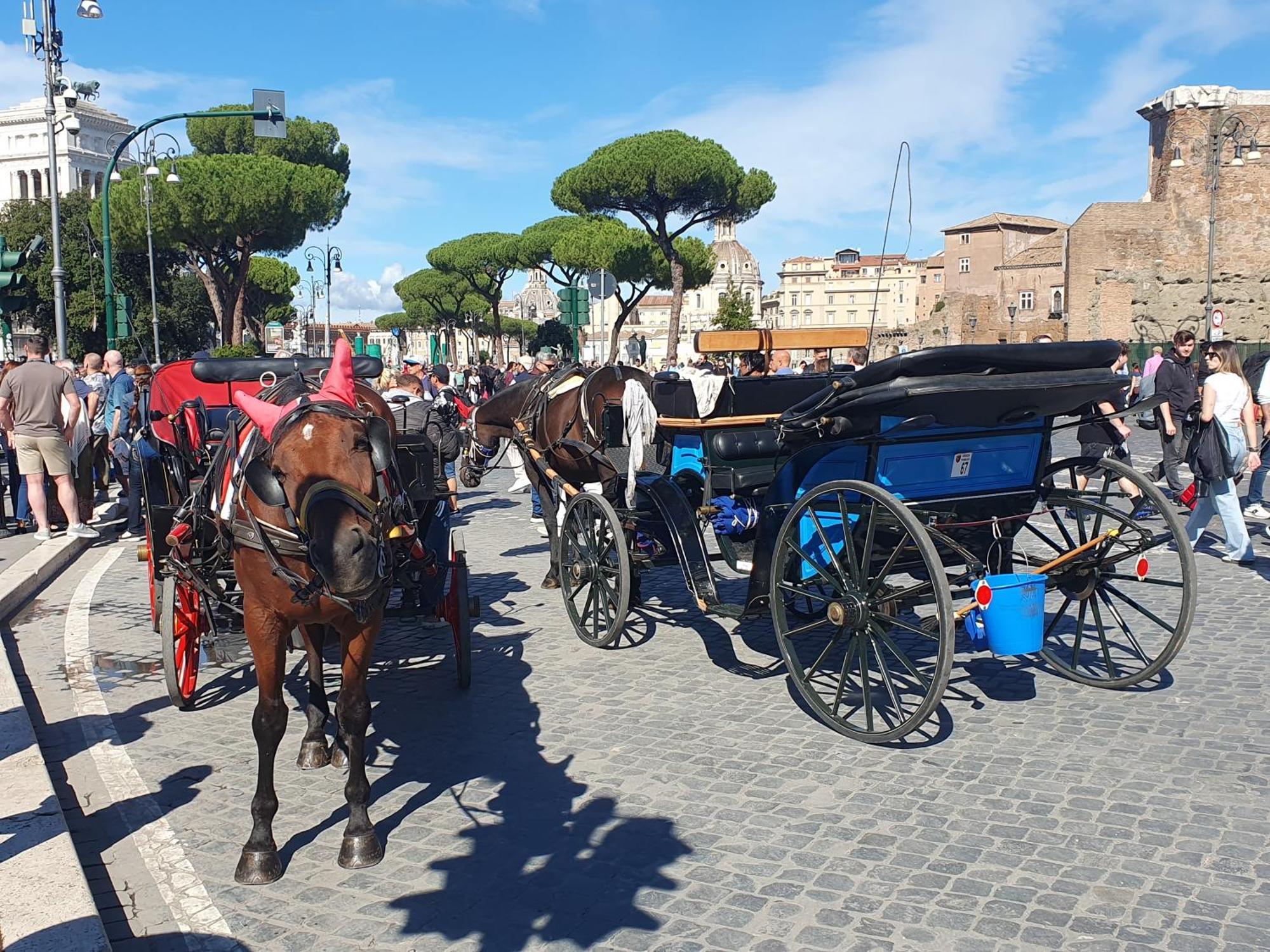 Apartamento Laura's Rhome Roma