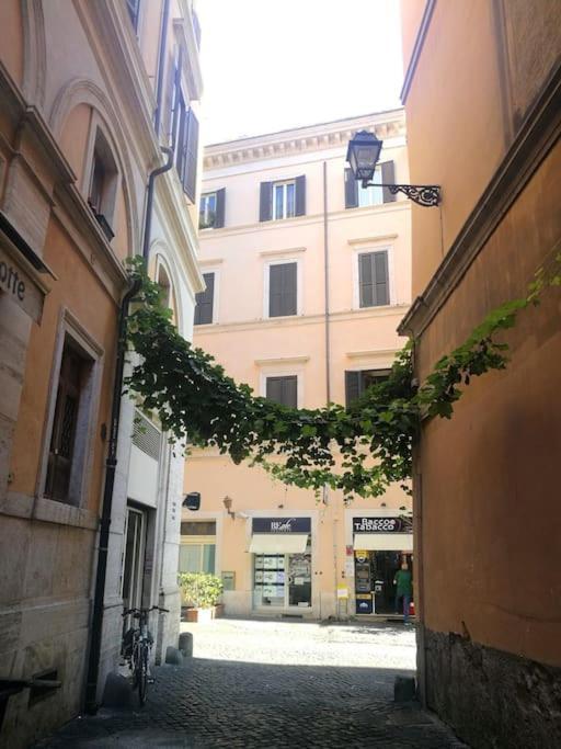 Residenza Del Teatro - Apartment