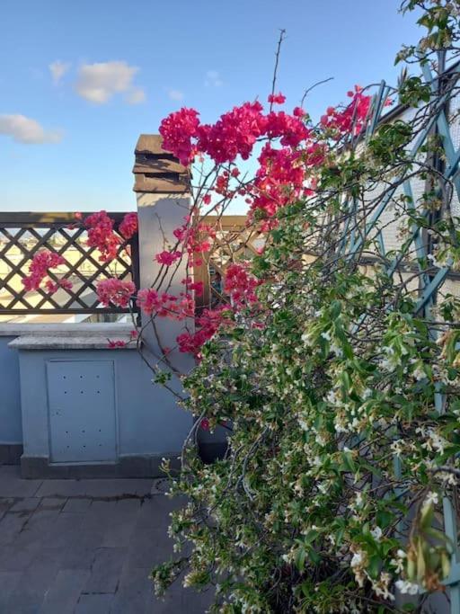 Terrazza Talenti Apartamento