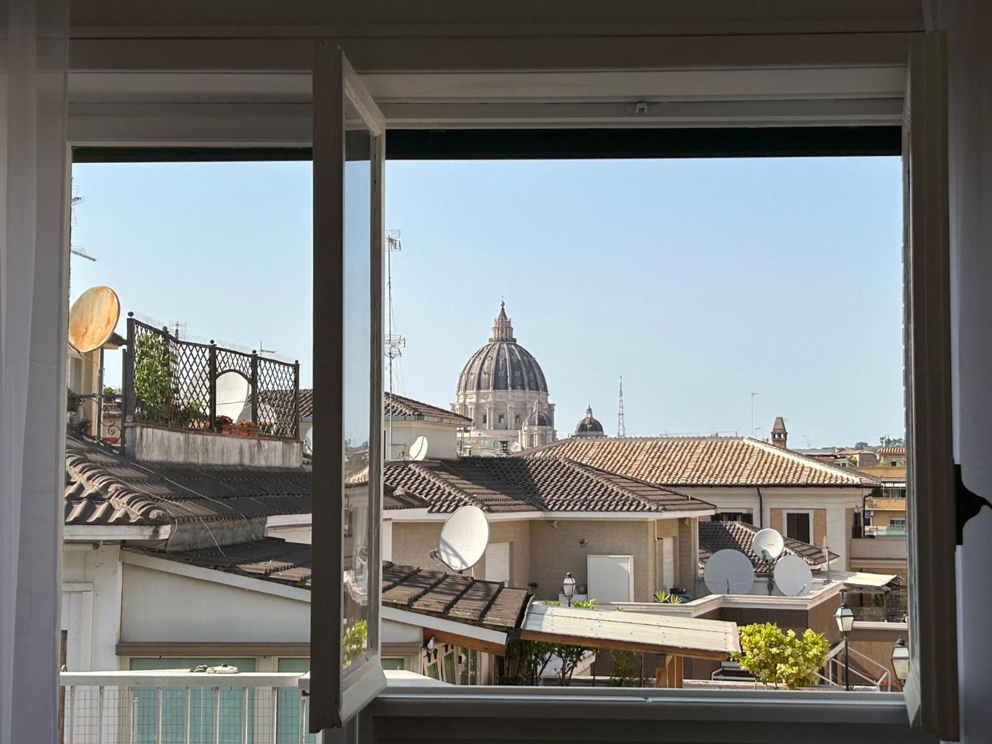 Domes St Peter Vatican 