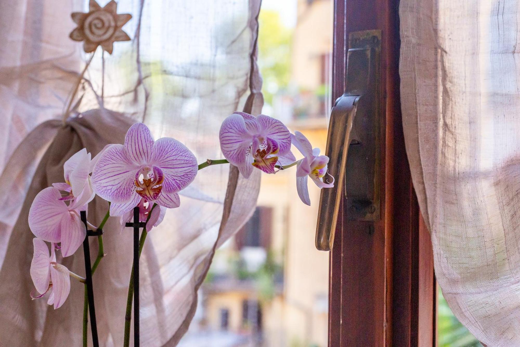 La Casa Di Elba