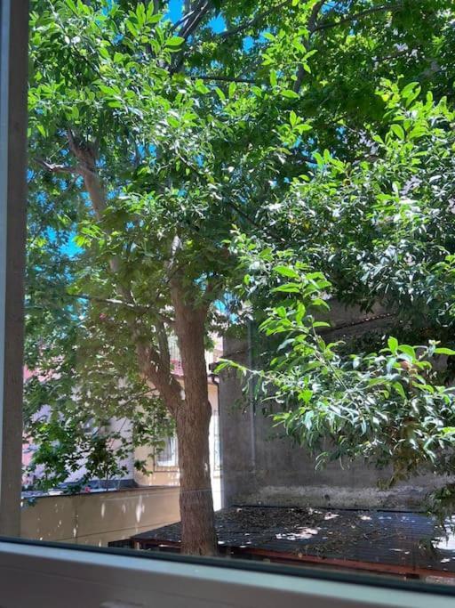 Appartamento Charming Restored Loft In The Heart Of Trastevere