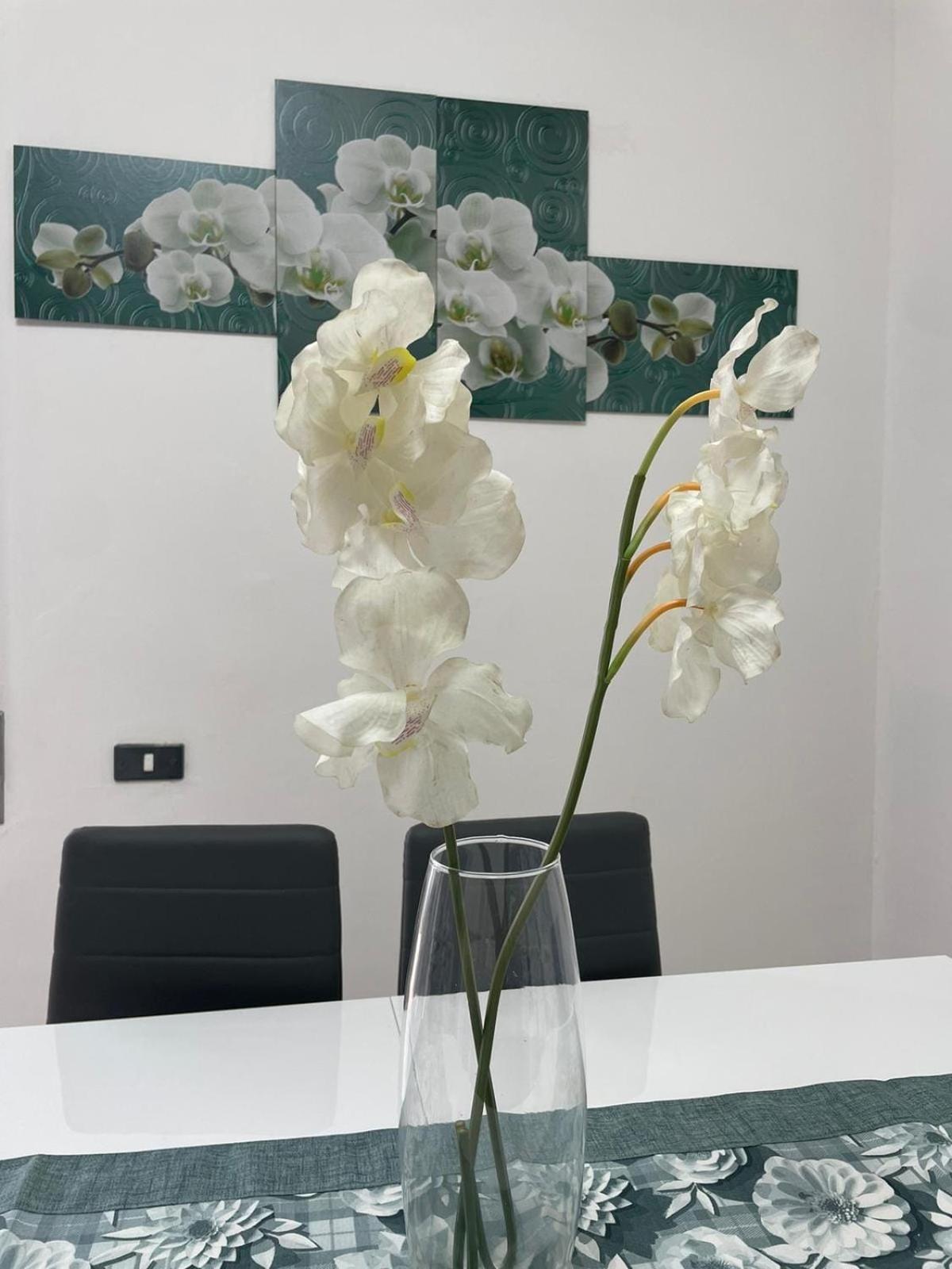 Apartamento Claudiae Domus Roma