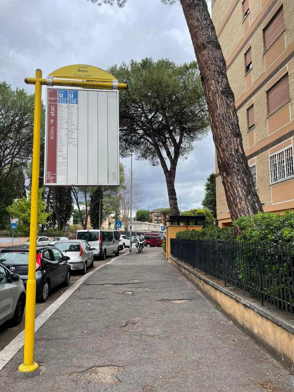 Claudiae Domus * Roma