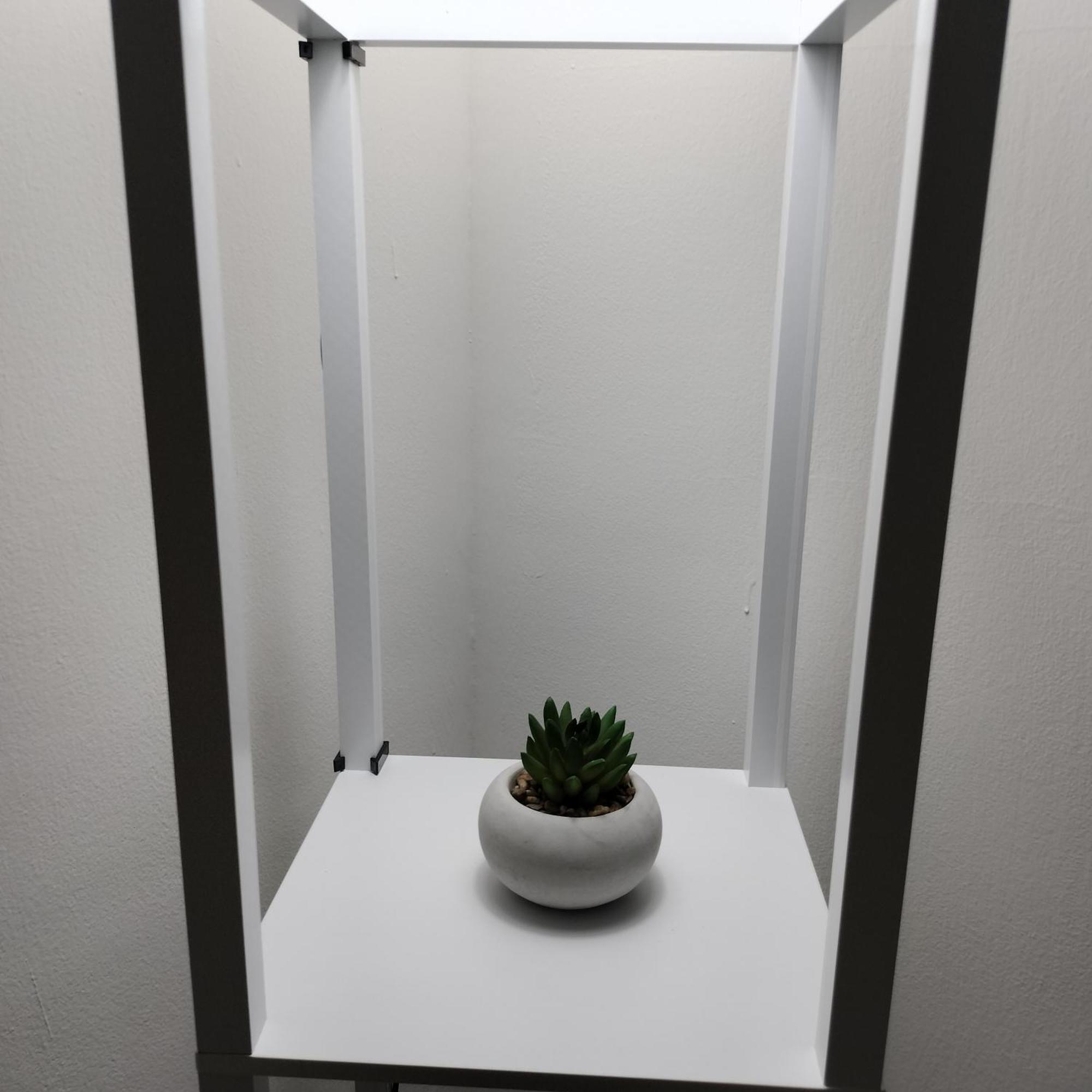 Claudiae Domus Apartamento Roma