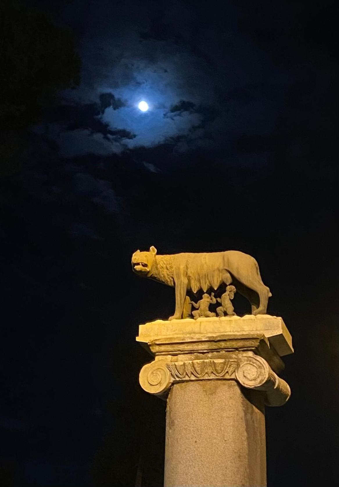 Domus Art Merulana * Roma
