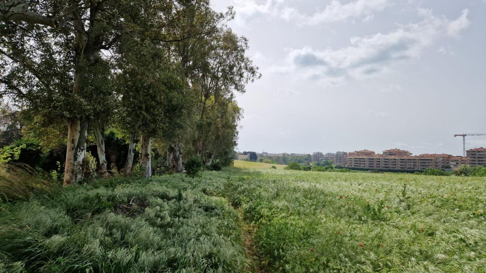 La Stanza Degli Abeti Blu Privat overnatting *