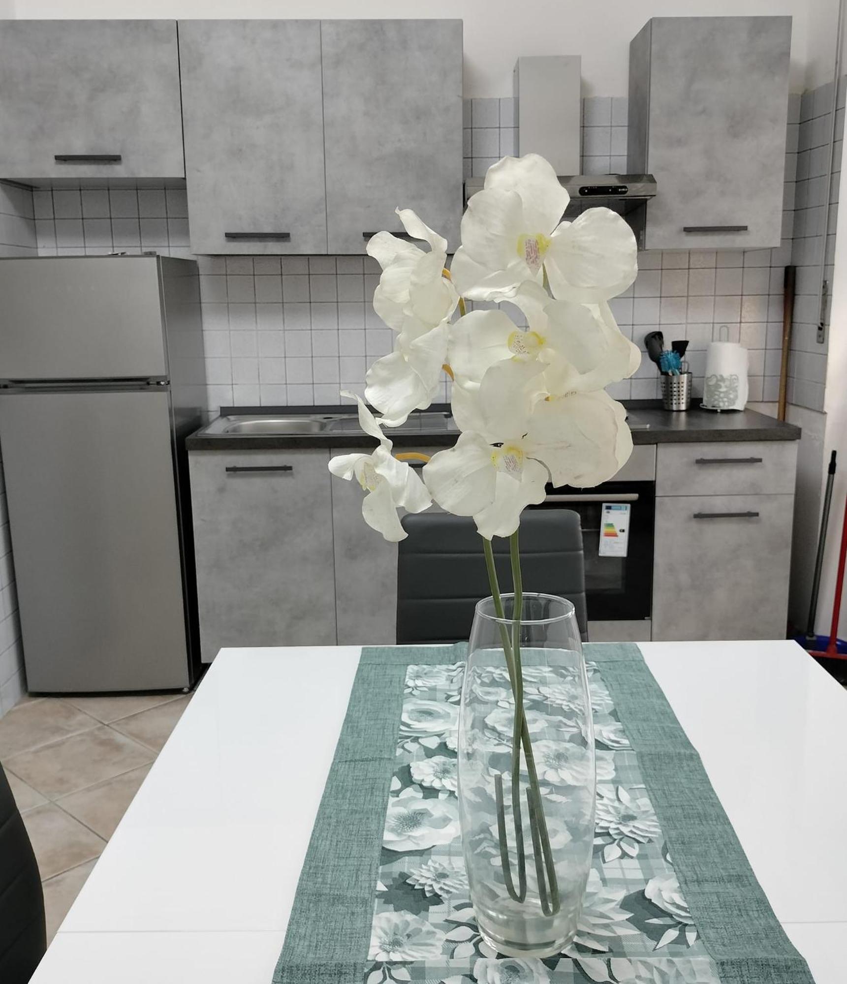 Claudiae Domus Apartamento Roma