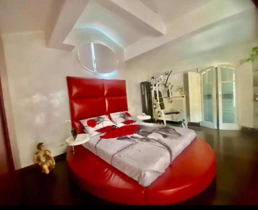 Ave Apartamento