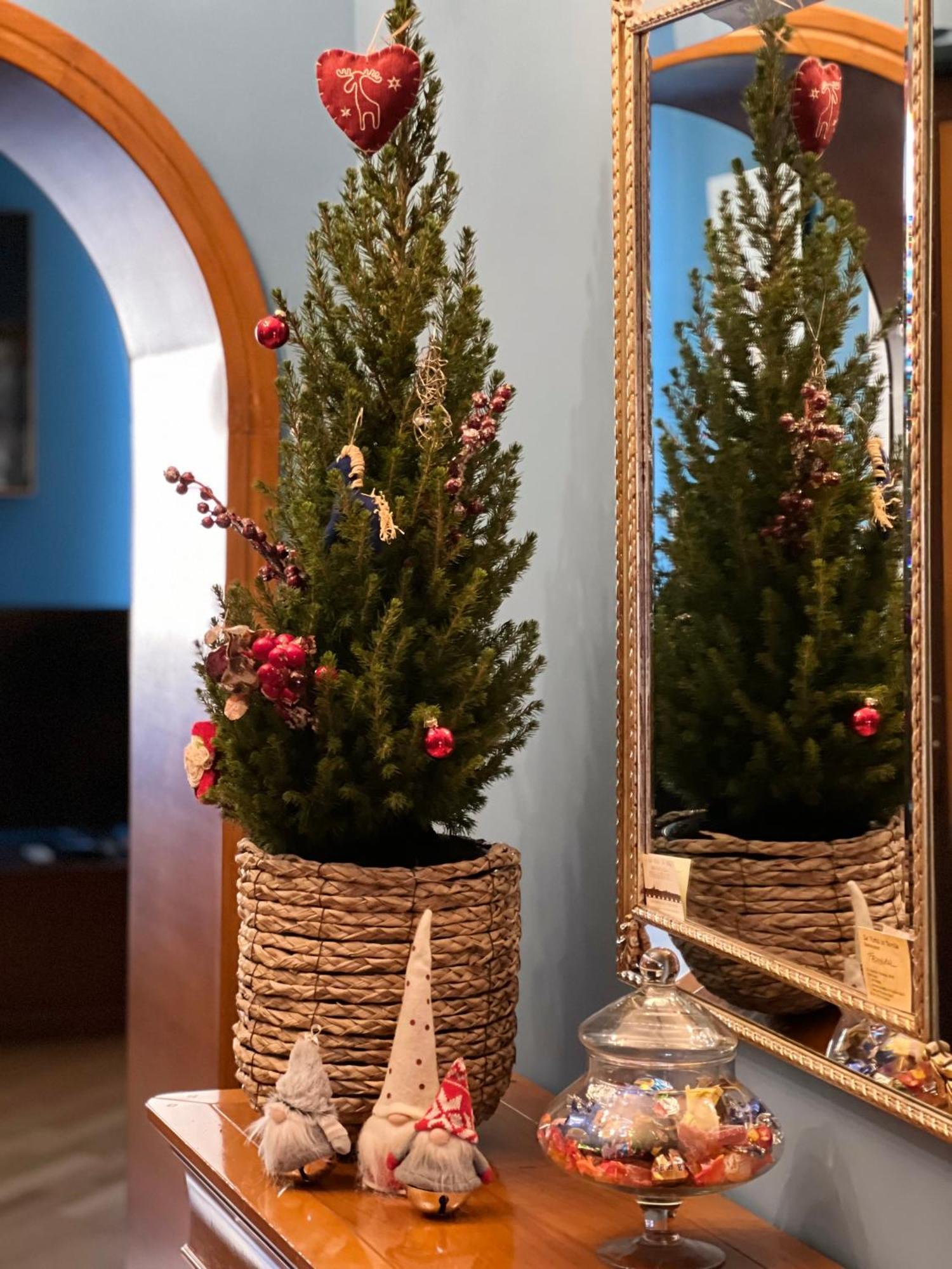 La Casa Di Efra Apartamento