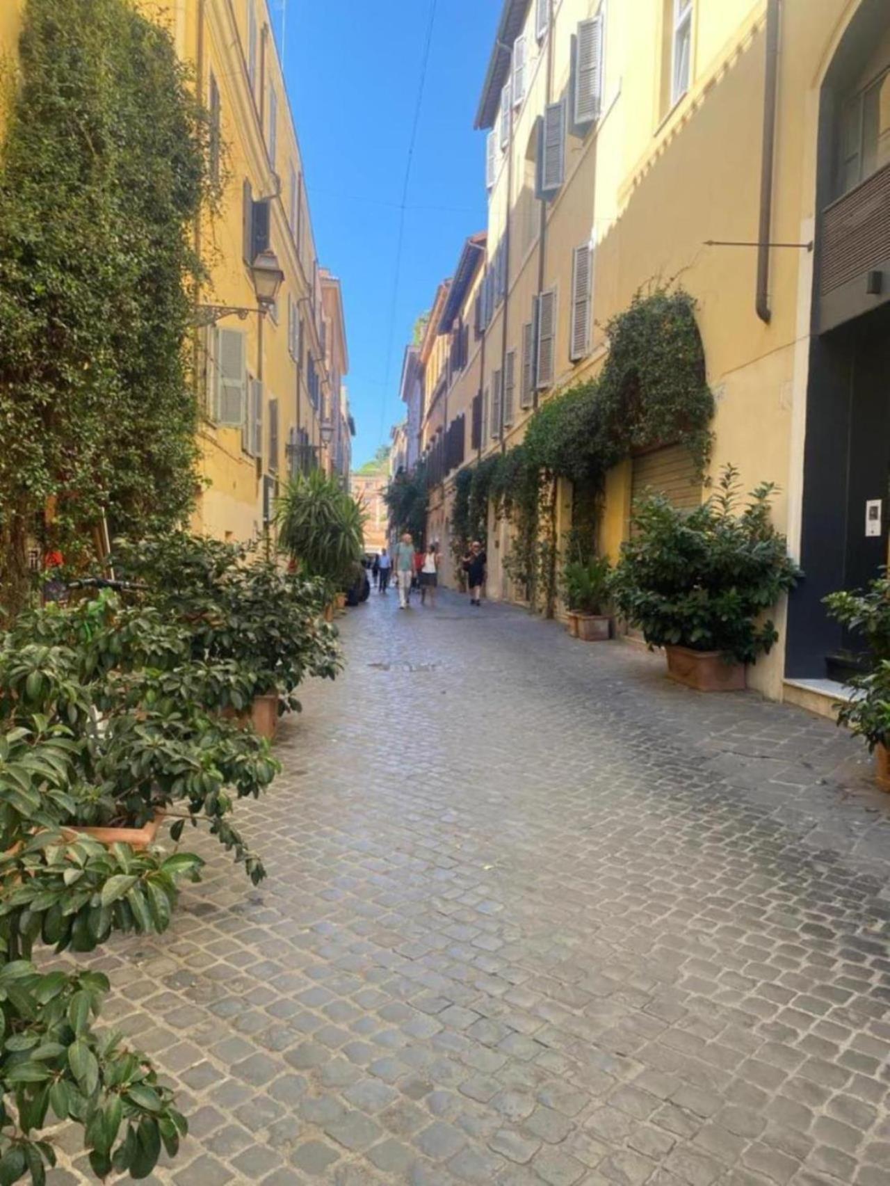 Margutta Domitia Appartamento