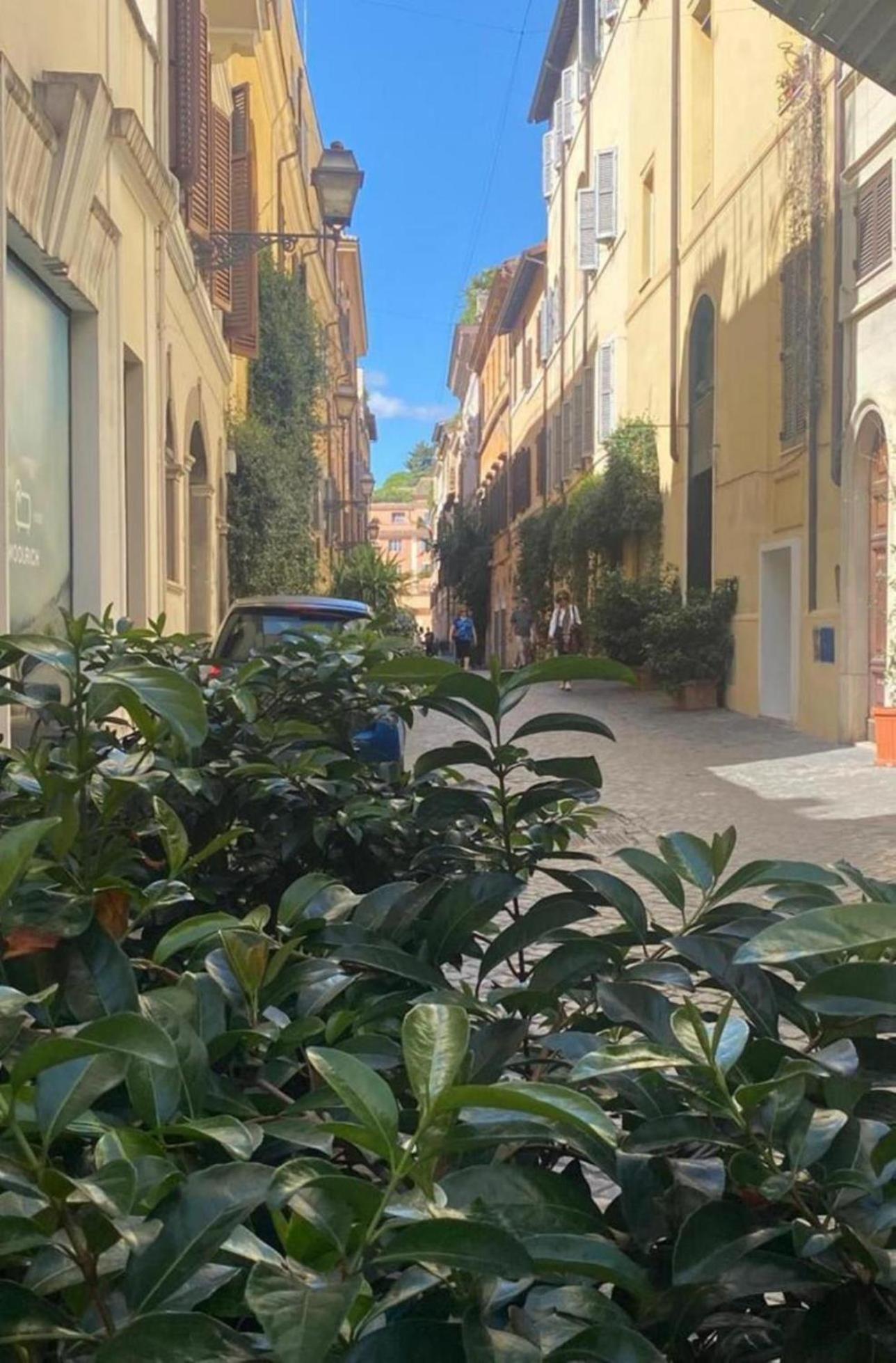 Margutta Domitia Appartamento Roma